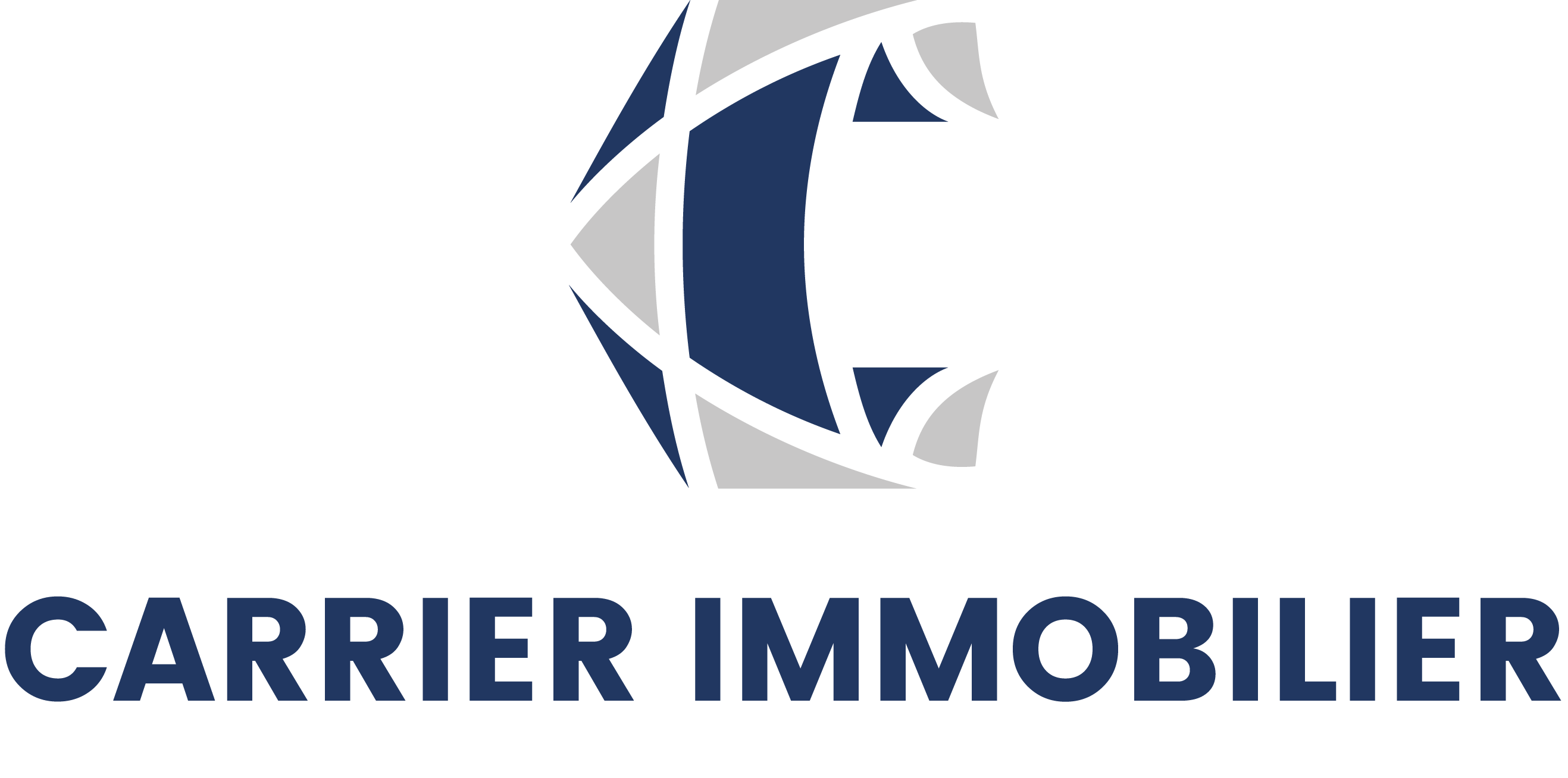 Carrier Immobilier