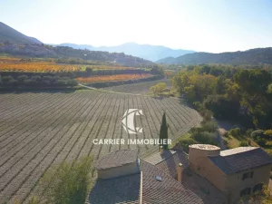 RARE A LA VENTE - MAS PROVENCAL - Village Pittoresque de Ven — photo 3