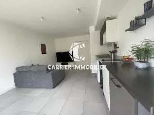 Tassin-la-Demi-Lune   T2 récent et lumineux avec garage fer — photo 4