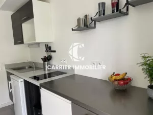 Tassin-la-Demi-Lune   T2 récent et lumineux avec garage fer — photo 3