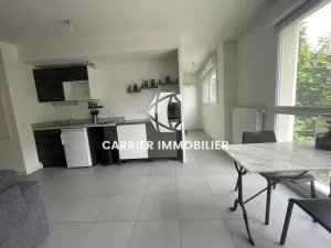 Tassin-la-Demi-Lune   T2 récent et lumineux avec garage fer — photo 2