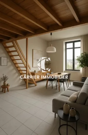 Plateaux et appartement à t potentiel rare en plein coeur de — photo 3
