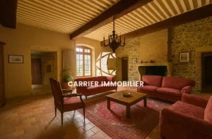 Chateau Renaissance d'exception   50 min de Lyon -15 min de — photo 10
