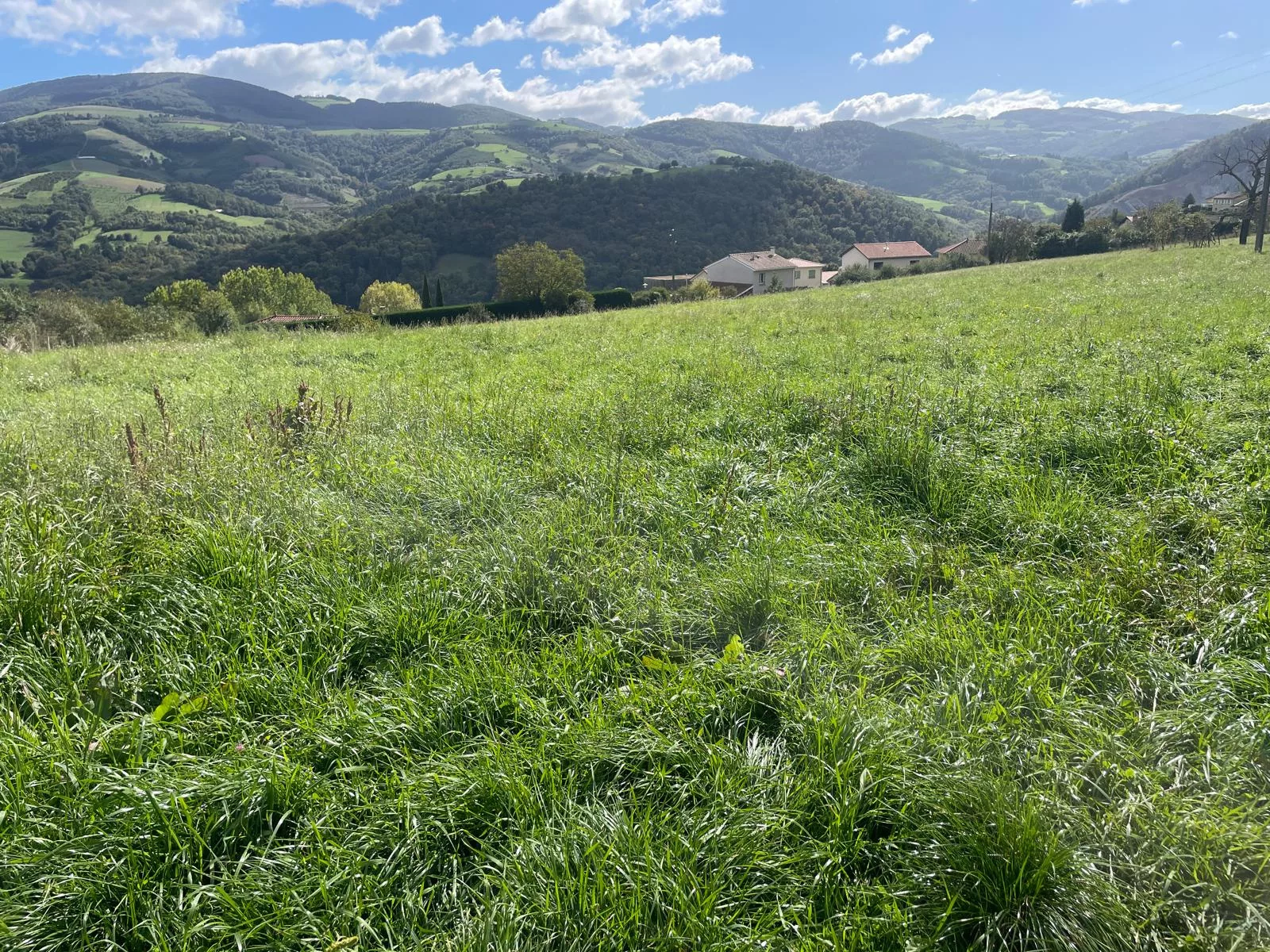 Terrains à vendre à Brussieu centre village (69690)   Libres