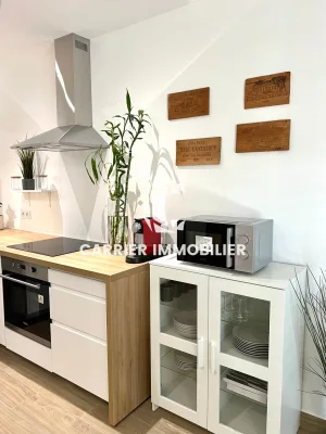Au calme dans une copropriété intimiste - T2 avec Jardin et — photo 8