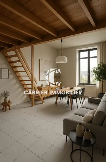 Appartement et plateaux à potentiel rare en plein coeur de Ly