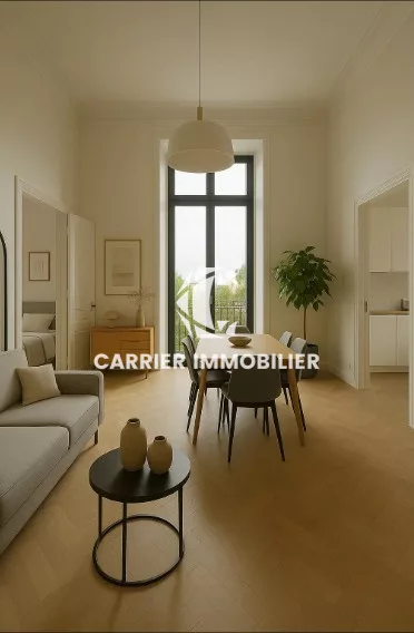 Plateaux et appartement à potentiel rare en plein coeur de Ly