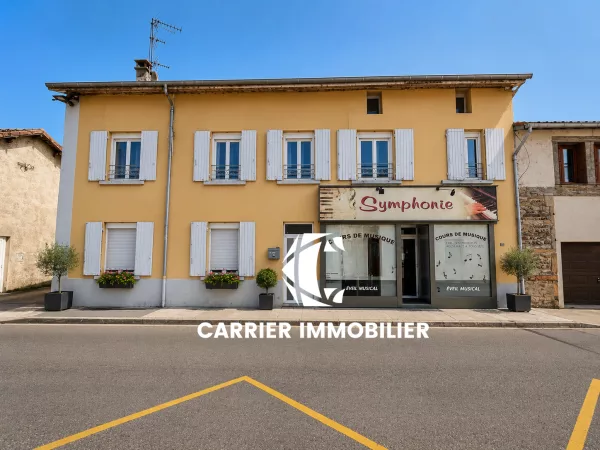 MIRIBEL CENTRE-VILLE   ENSEMBLE IMMOBILIER DE 540 M2