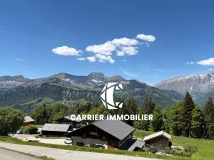 CHALET D'EXCEPTION AU PIED DES PISTES   ESPACE DIAMANT   VUE — photo 2
